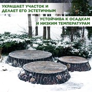 Крышка люка декоративная Пень дубовый на 60 см U09102 - фото 68573