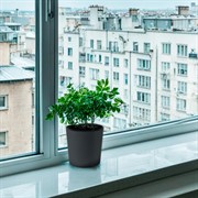 Горшок Вега 5,2л антрацит с вкладышем - фото 68580