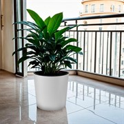 Горшок Вега 17,2л белый с вкладышем - фото 68590