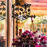 Кронштейн на стену Колибри для подвесного кашпо длина 27см металл 201-011B - фото 68631 Кронштейн на стену Колибри для подвесного кашпо длина 27см металл 201-011B - фото 68631