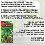 Семена Томат Балконный красный, Огурец Окошко, Баклажан Патио-малыш, Перец Подросток набор х 4 - фото 68666
