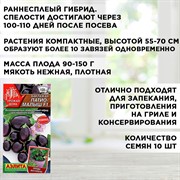 Семена Томат Балконный красный, Огурец Окошко, Баклажан Патио-малыш, Перец Подросток набор х 4 - фото 68668