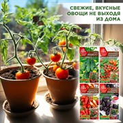 Семена Томат Балконный красный, Огурец Окошко, Баклажан Патио-малыш, Перец Подросток набор х 4 - фото 68669