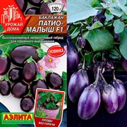 Семена Томат Балконный красный, Огурец Окошко, Баклажан Патио-малыш, Перец Подросток набор х 4 - фото 68673