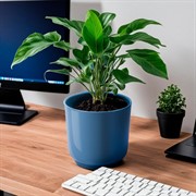 Горшок Дельта 13,5х13,5 1,5 л ментол с вкладкой - фото 68708