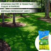 Травосмесь Евро-Парк 1кг - фото 68930