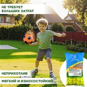 Травосмесь Евро-спорт-Бюджет 1кг - фото 68934