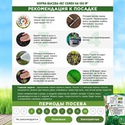 Травосмесь Газон Абсолют Ленивый 500г - фото 68939