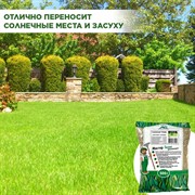 Травосмесь Газон Абсолют Солнце 500г - фото 68944