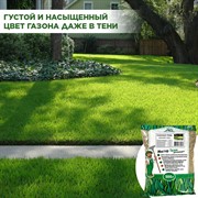 Травосмесь Газон Абсолют Тень 500г - фото 68948