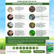 Газон Морозко 250гр - фото 68976