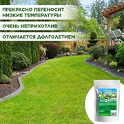 Газон Морозко 250гр - фото 68977