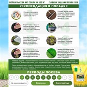 Травосмесь Теневая 10кг - фото 68980 Травосмесь Теневая 10кг - фото 68980