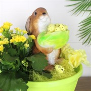 Фигура кашпо садовая Зайчонок с салатом U09090 - фото 68982