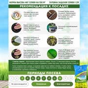 Травосмесь Мегаполис 1кг - фото 69284