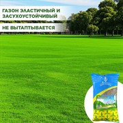 Травосмесь Мегаполис 1кг - фото 69285