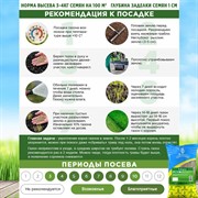 Травосмесь Сибиряк 1кг - фото 69288