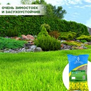 Травосмесь Сибиряк 1кг - фото 69289