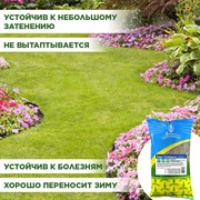 Травосмесь Евро-Универсал-Бюджет 1кг - фото 69293