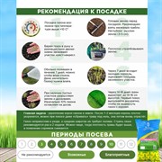 Травосмесь Евро-Лень 1кг - фото 69296