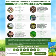 Травосмесь Евро-Ремонт 1кг - фото 69300