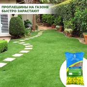 Травосмесь Евро-Ремонт 1кг - фото 69301