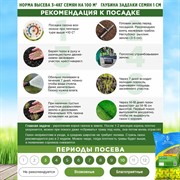 Травосмесь Евро-Гном 1кг - фото 69304