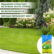 Травосмесь Евро-Гном 1кг - фото 69305