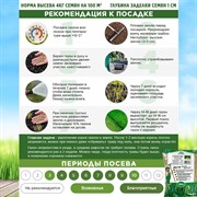 Травосмесь Газон Абсолют Мини 500г - фото 69316