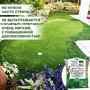 Травосмесь Газон Абсолют Мини 500г - фото 69317