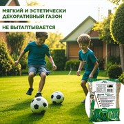 Травосмесь Газон Абсолют Спорт 500г - фото 69321