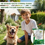 Травосмесь Детская Площадка 500г - фото 69325