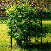 Опора для садовых растений металлическая черная Купол 58-908B - фото 69397
