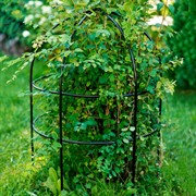 Опора для садовых растений металлическая черная Купол 58-908B - фото 69399