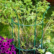 Комплект опор для растений 2шт метал зелёная Корона 58-920Gr-2 - фото 69511