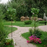 Арка садовая металлическая высота 235см 863-31R - фото 69592