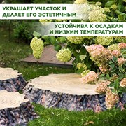 Крышка люка декоративная Секвойя большая U09176 - фото 69637