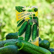 Огурец Мурашка 10шт - фото 69705 Огурец Мурашка 10шт - фото 69705