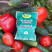 Железный купорос 200г для профилактики и лечения болезней - фото 69707 Железный купорос 200г для профилактики и лечения болезней - фото 69707