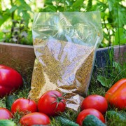 Сидерат Горчица белая 1кг - фото 69713