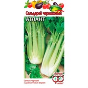 Сельдерей черешковый Атлант 0,1г - фото 69949