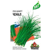 Лук на зелень шнитт Чемал 0,5г ХИТ - фото 69955