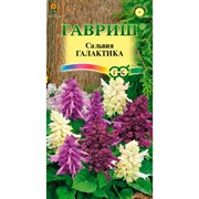 Сальвия Галактика смесь 6шт - фото 69957