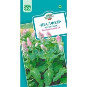 Шалфей Мускатный Вознесенский 24 0,3г - фото 69959