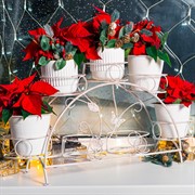 Подставка для цветов на подоконник на 7 цветов металл 14-917 - фото 70155