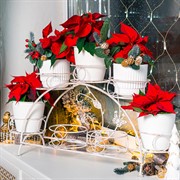 Подставка для цветов на подоконник на 7 цветов металл 14-917 - фото 70156