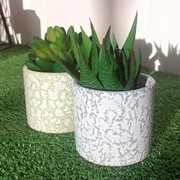 Кашпо Маджента 0,15л белый тубус мини - фото 70269