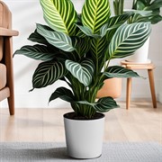 Горшок Вега 5,2л белый с вкладышем - фото 70335