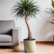 Горшок Вега 10,2л ванильный с вкладышем - фото 70351