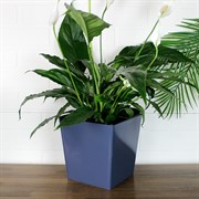 Горшок Лондон CUBE 17,7см 4,2л вулканический серый с дренажной вставкой - фото 70423